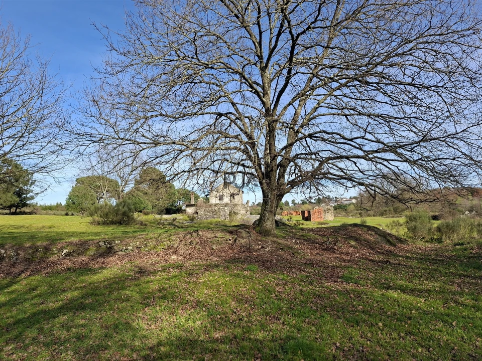 Quinta T0 para Venda em Espinho Foto 15