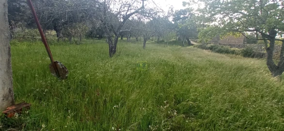 Terreno para Venda em Pedrógão de São Pedro e Bemposta