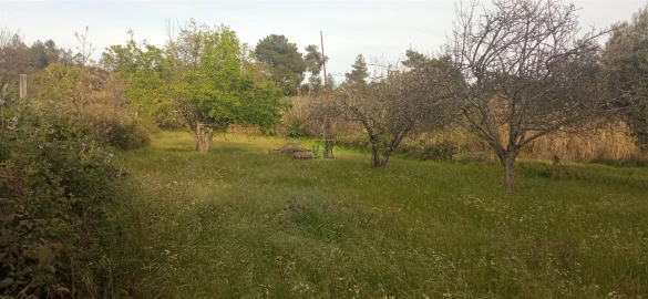 Terreno para Venda em Pedrógão de São Pedro e Bemposta