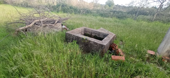 Terreno para Venda em Pedrógão de São Pedro e Bemposta