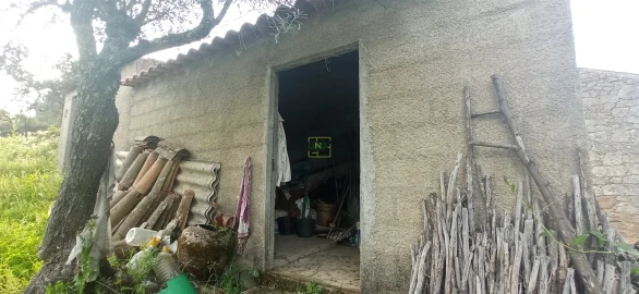 Terreno para Venda em Pedrógão de São Pedro e Bemposta