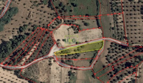 Terreno para Venda em Pedrógão de São Pedro e Bemposta