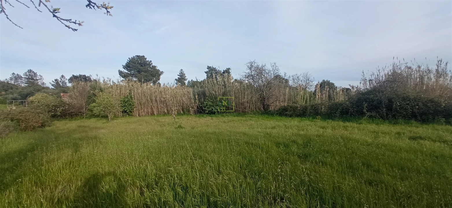 Terreno para Venda em Pedrógão de São Pedro e Bemposta Foto 13