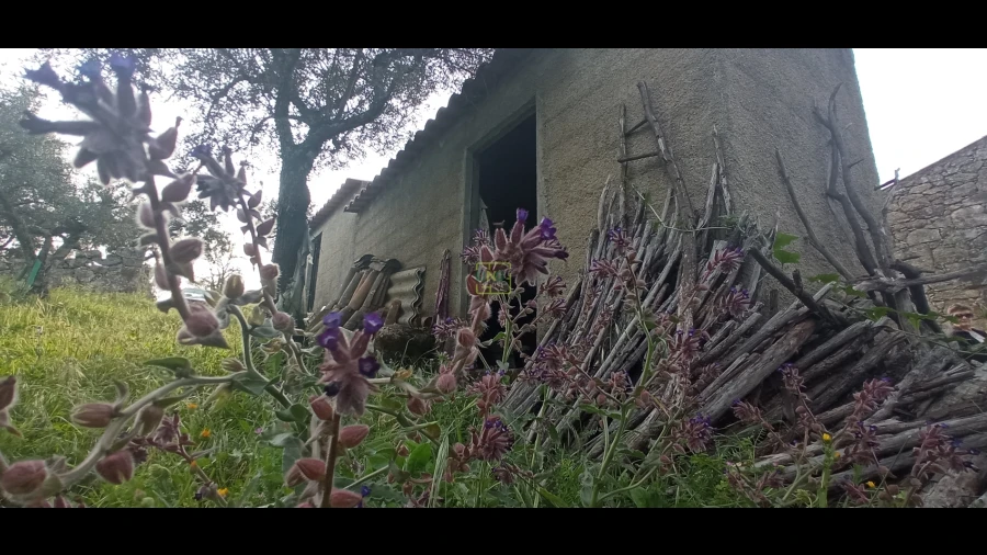 Terreno para Venda em Pedrógão de São Pedro e Bemposta