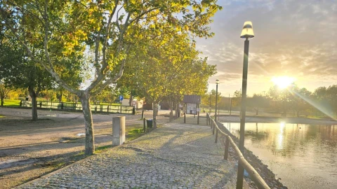 Moradia T2 para Arrendamento em Ereira