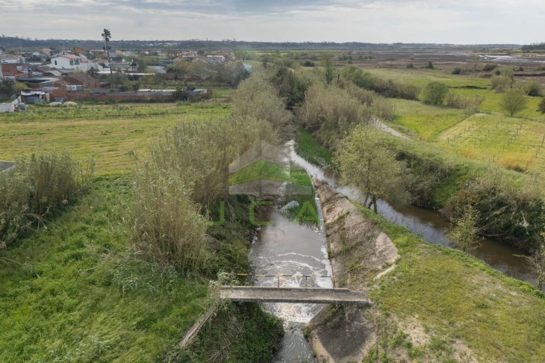 Terreno para Venda em Monte Redondo e Carreira Foto 12
