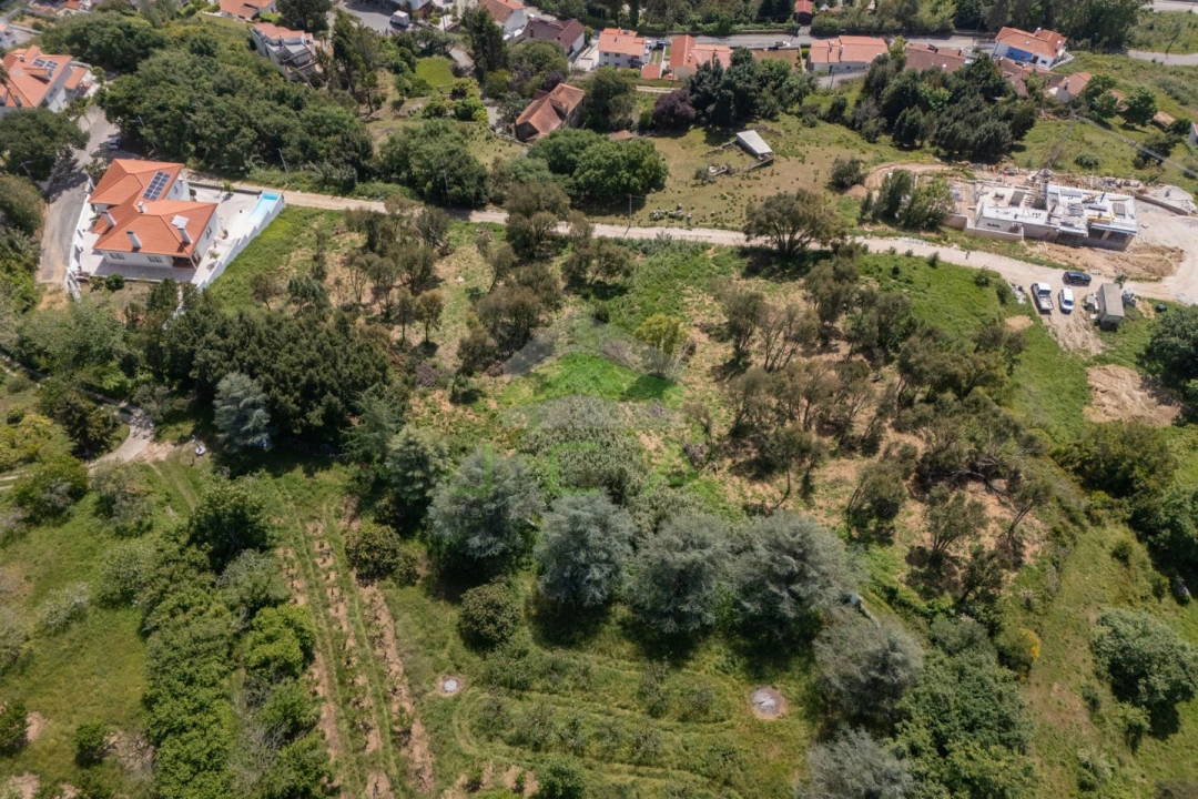Terreno para Venda em Alcobaça e Vestiaria Foto 17
