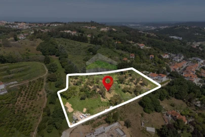 Terreno para Venda em Alcobaça e Vestiaria