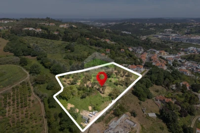 Terreno para Venda em Alcobaça e Vestiaria