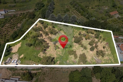 Terreno para Venda em Alcobaça e Vestiaria