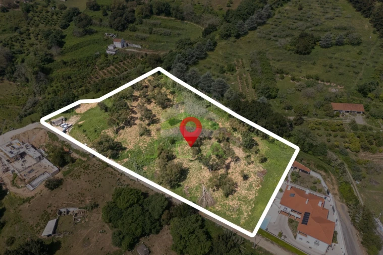 Terreno para Venda em Alcobaça e Vestiaria Foto 22
