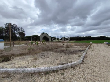 Quinta T4 para Venda em Pegões