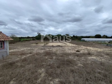 Quinta T4 para Venda em Pegões