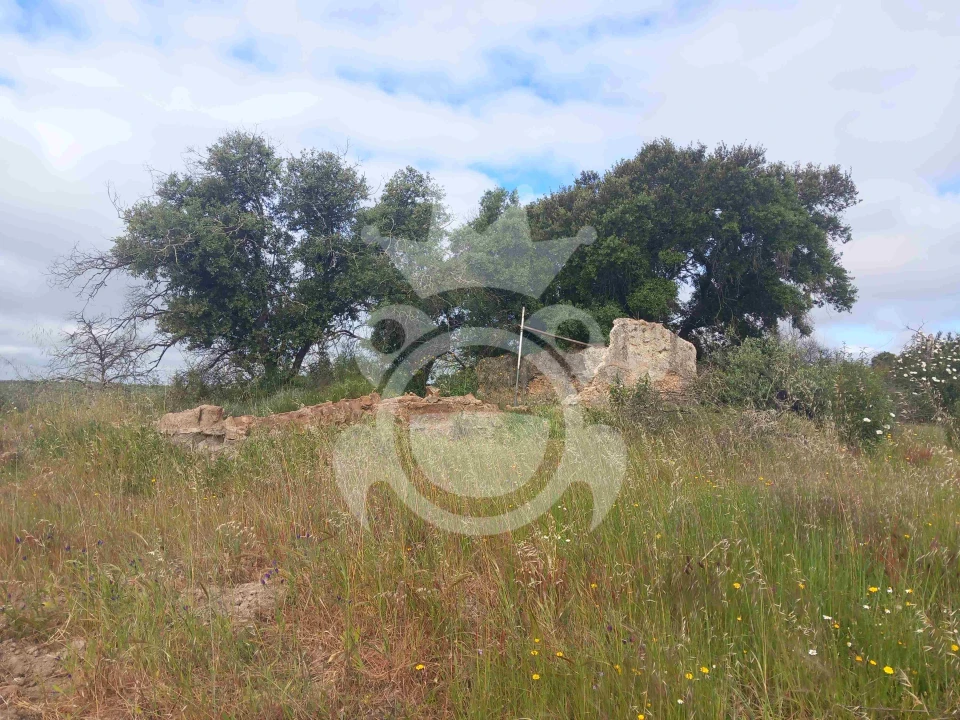 Terreno para Venda em Vila Nova de São Bento e Vale de Vargo Foto 7