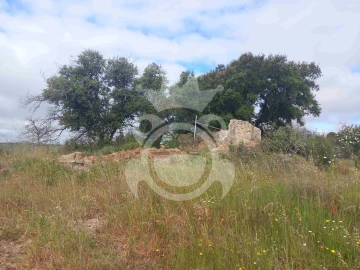 Terreno para Venda em Vila Nova de São Bento e Vale de Vargo