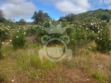 Terreno para Venda em Vila Nova de São Bento e Vale de Vargo