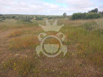 Terreno para Venda em Vila Nova de São Bento e Vale de Vargo