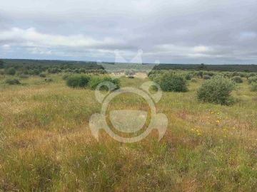 Terreno para Venda em Vila Nova de São Bento e Vale de Vargo