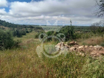 Terreno para Venda em Vila Nova de São Bento e Vale de Vargo