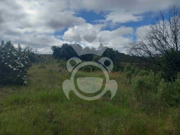 Terreno para Venda em Vila Nova de São Bento e Vale de Vargo