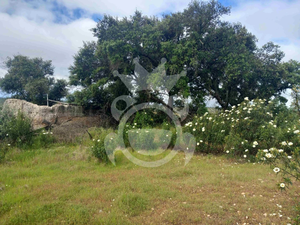 Terreno para Venda em Vila Nova de São Bento e Vale de Vargo Foto 1