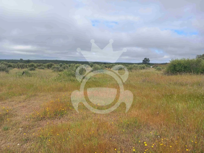 Terreno para Venda em Vila Nova de São Bento e Vale de Vargo Foto 4