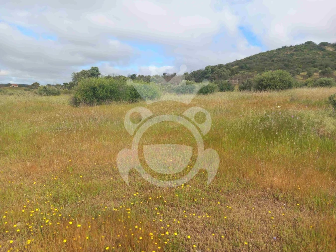 Terreno para Venda em Vila Nova de São Bento e Vale de Vargo Foto 3