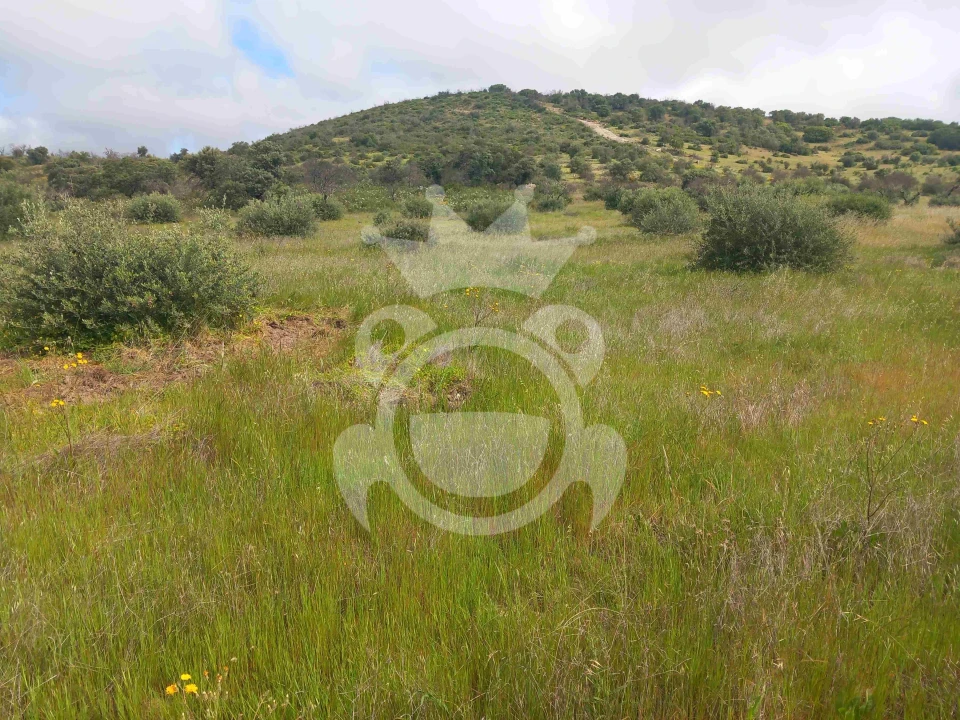 Terreno para Venda em Vila Nova de São Bento e Vale de Vargo Foto 2