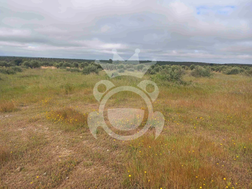Terreno para Venda em Vila Nova de São Bento e Vale de Vargo Foto 5