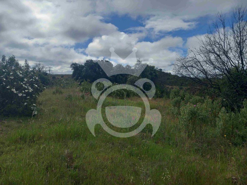 Terreno para Venda em Vila Nova de São Bento e Vale de Vargo Foto 11