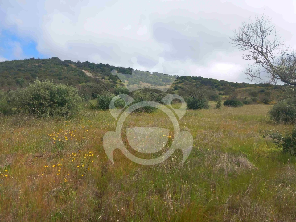 Terreno para Venda em Vila Nova de São Bento e Vale de Vargo Foto 14