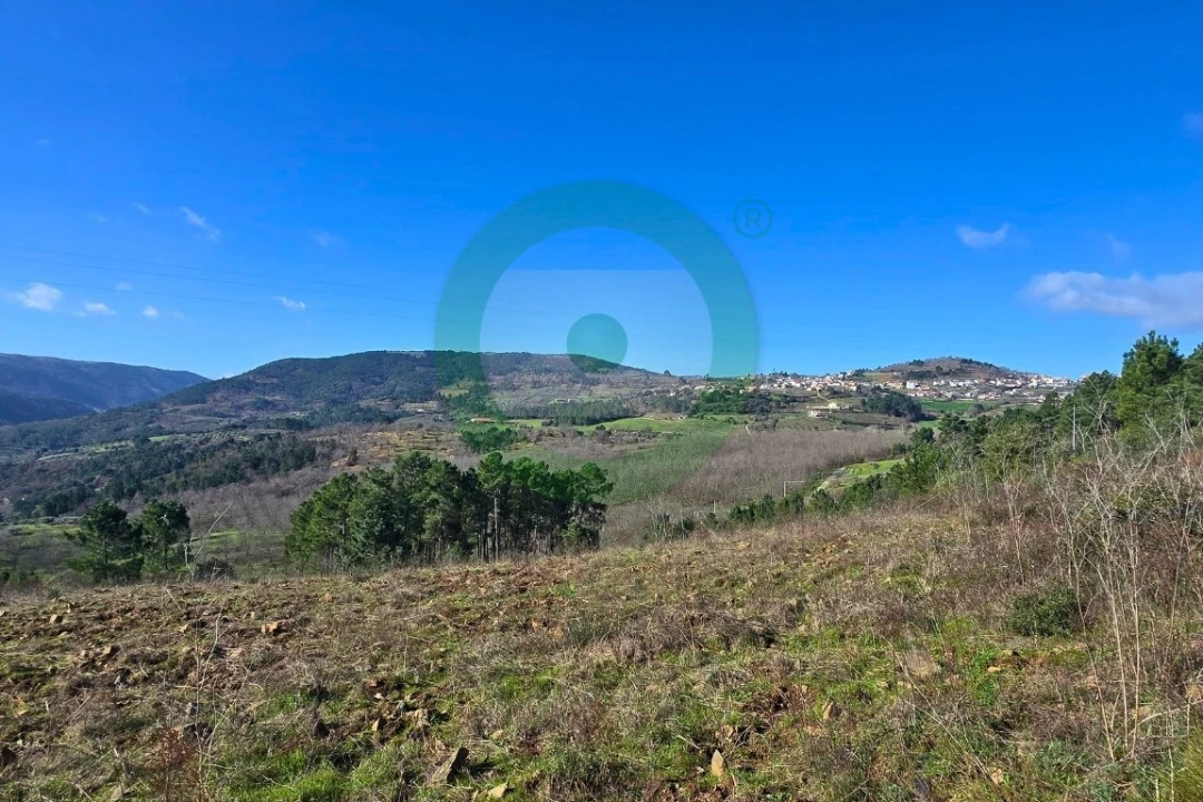 Terreno para Venda em Vinhais Foto 7