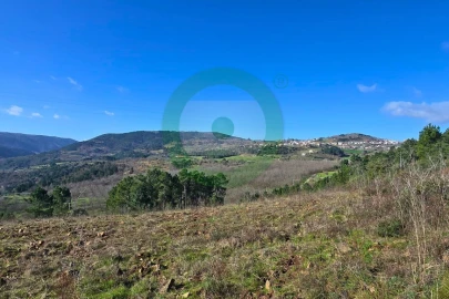 Terreno para Venda em Vinhais