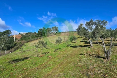 Terreno para Venda em Vinhais