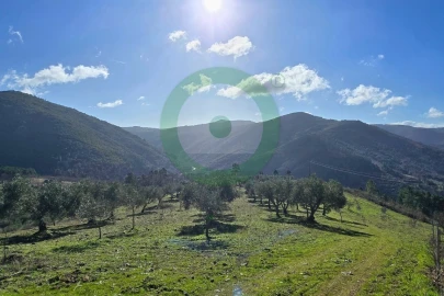 Terreno para Venda em Vinhais