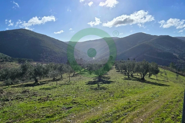Terreno para Venda em Vinhais Foto 2