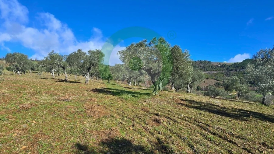 Terreno para Venda em Vinhais
