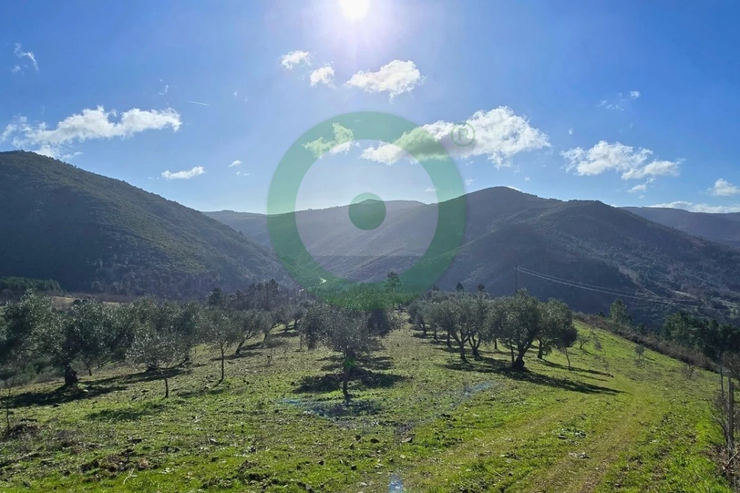 Terreno para Venda em Vinhais Foto 3