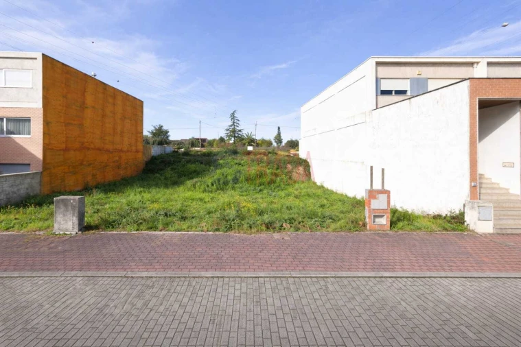 Terreno para Venda em Palmeira Foto 4