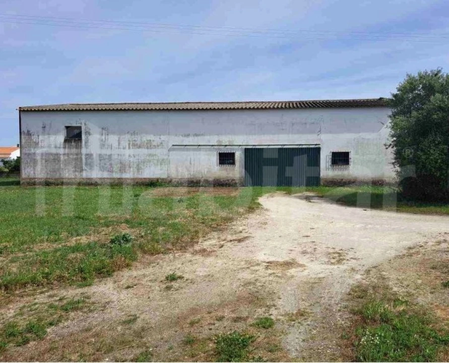 Armazém para Venda em Benavente Foto 1