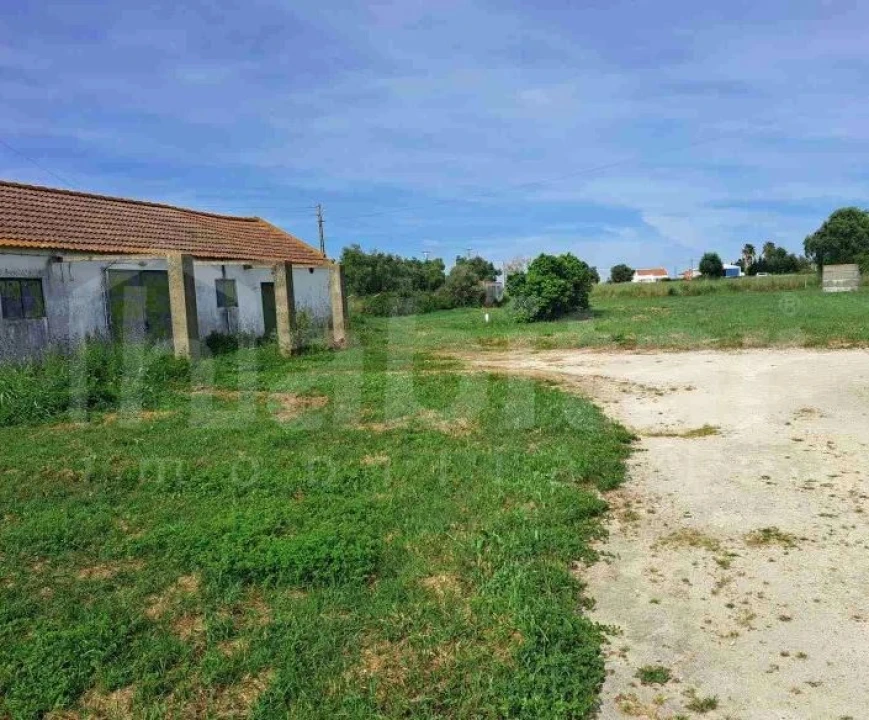 Armazém para Venda em Benavente Foto 2