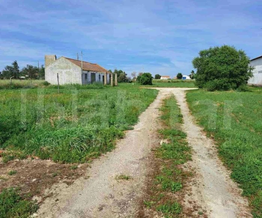 Armazém para Venda em Benavente Foto 3