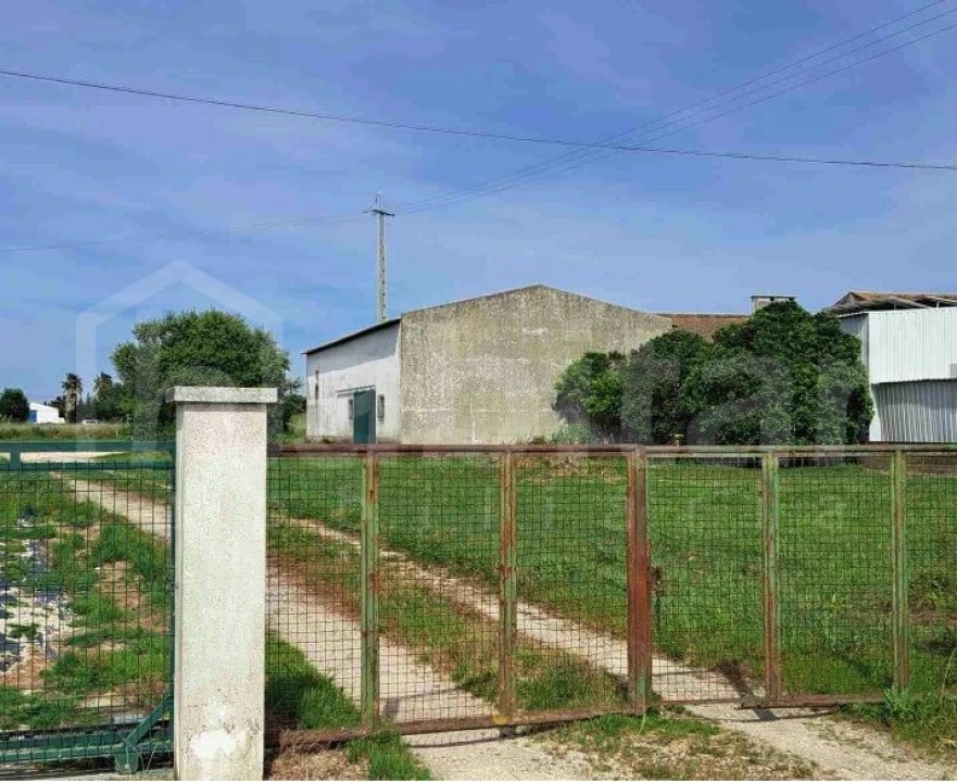 Armazém para Venda em Benavente Foto 4