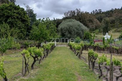 Moradia T3 para Venda em Longomel