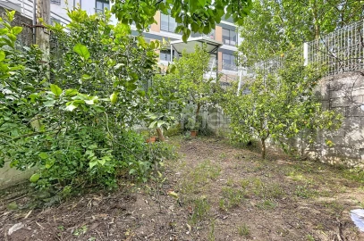 Moradia T6 para Venda em Pereira