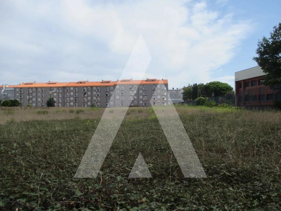 Terreno para Venda em Oliveira do Bairro Foto 2