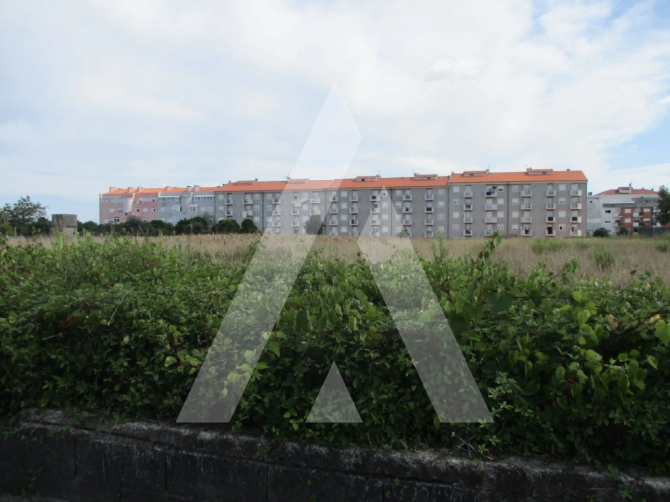 Terreno para Venda em Oliveira do Bairro Foto 4