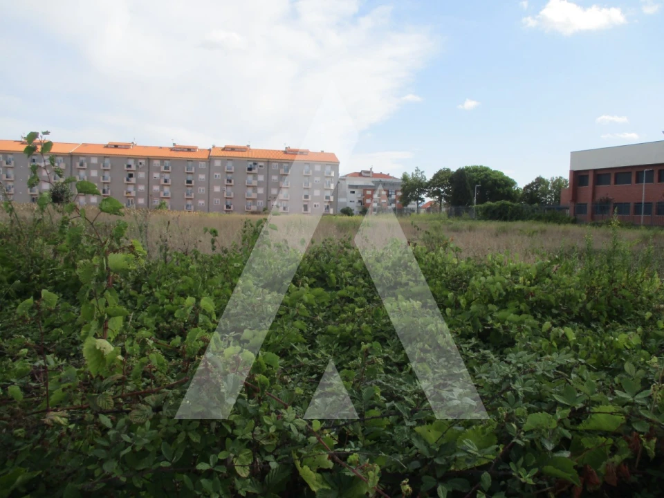 Terreno para Venda em Oliveira do Bairro Foto 5