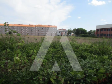 Terreno para Venda em Oliveira do Bairro