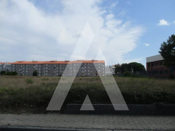 Terreno para Venda em Oliveira do Bairro